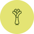 Leek